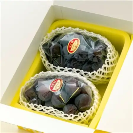 【2026年発送】ご家庭用　岡山県産ニューピオーネ(クール便)　約1.2kg(2～3房)【配送不可地域：離島】【1614322】