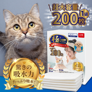 定期便 6回 薄型 ペットシーツ 【極】シリーズ レギュラー システムトイレ対応 ペット用 犬用 猫用 トイレシーツ 日用品 ペット用品 防災 備蓄 消耗品 ドッグ キャット わんちゃん ねこちゃん 静岡県 富士市 [sf077-148]