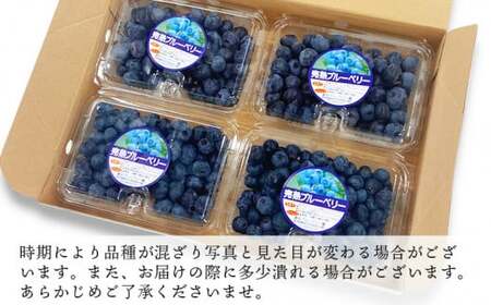【訳あり】 熊本県 あさぎり町産 手摘み ブルーベリー 生果実 約1kg 熊本県産 ブルーベリー フルーツ【発送時期：2026年6月上旬～8月中旬】