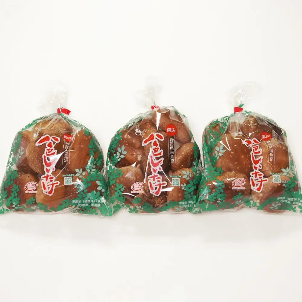【JAみなみ魚沼定期便】家庭用「八色しいたけ」（750g×全9回） 訳あり 不ぞろい 農家応援 厚いにもほどがある≪定期便しいたけ 南魚沼 訳あり 不ぞろい 厚い 家庭用 農家応援 きのこ 食材 グルメ 料理 家庭料理 新潟県 特産品 国産 野菜 冬季 食材≫