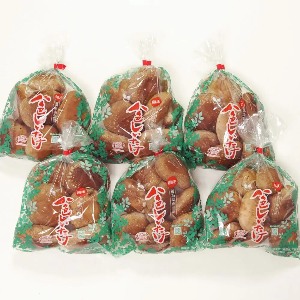 【JAみなみ魚沼定期便】家庭用「八色しいたけ」（1.5kg×全6回） 訳あり 不ぞろい 農家応援 厚いにもほどがある≪定期便しいたけ 南魚沼 訳あり 不ぞろい 厚い 家庭用 農家応援 きのこ 食材 グルメ 料理 家庭料理 新潟県 特産品 国産 野菜 冬季 食材≫
