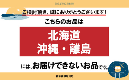 ばとう手づくりハム　茶色豚の贅沢ハムセット | カナディアンロースハム ベーコンブロック スモークハム ショルダースモークハム ウィンナー ソーセージ チョリソー フランクフルト ボロニアソーセージ 贈答品  肉 満足 馬頭 ばとう 栃木県 那珂川町 送料無料