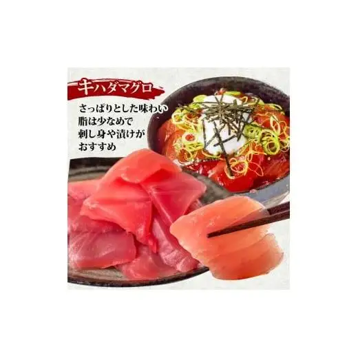 【 訳あり 】 訳ありキハダマグロ1.5kg