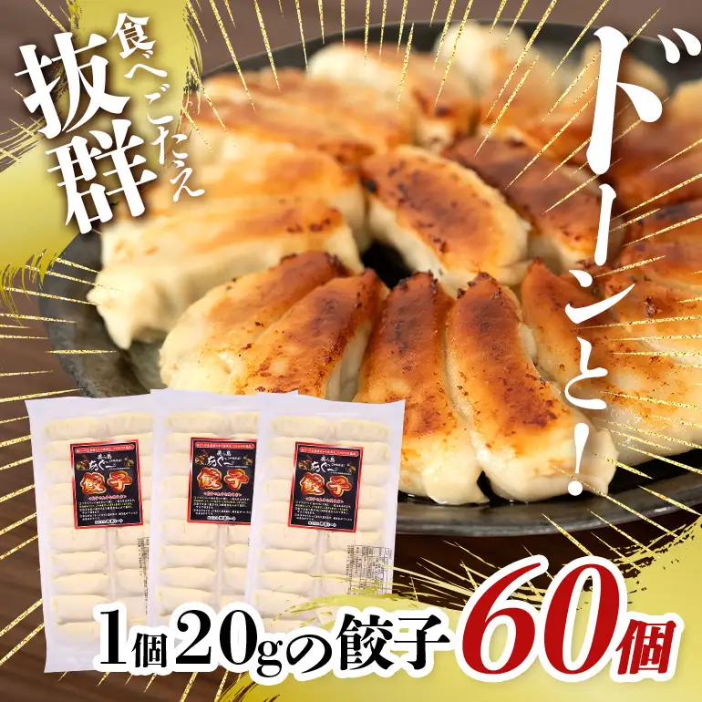美ら島あぐー餃子 60個セット 20個入×3パック 絶品 こだわり 豚 肉 国産 ごはん おかず お弁当 冷凍 ぎょうざ ギョウザ 小分け BBQ ギョーザ 惣菜 晩酌 ギフト 手作り 生餃子 豚肉 冷凍食品 おつまみ 冷凍餃子 ブランド豚 総菜 中華 焼き餃子 沖縄県 糸満市 61-25