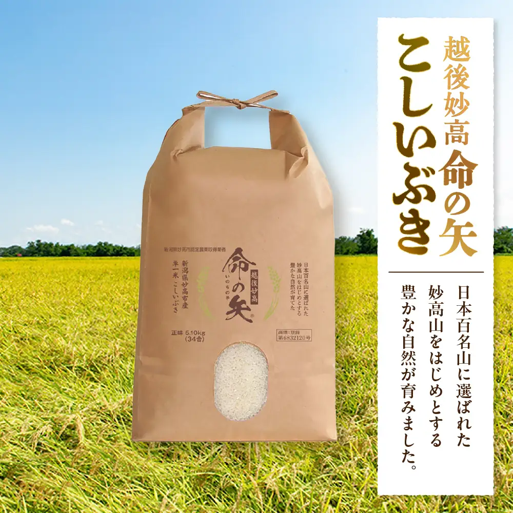 先行予約 令和8年産 越後妙高命の矢 こしいぶき 5.1kg 妙高産