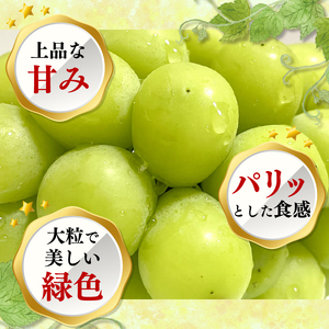 ぶどう 【先行予約】シャインマスカット 約1kg  先行予約 数量限定   edama 静岡県 牧之原市