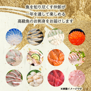 【 刺身 】高級刺身定期便 4回 EY