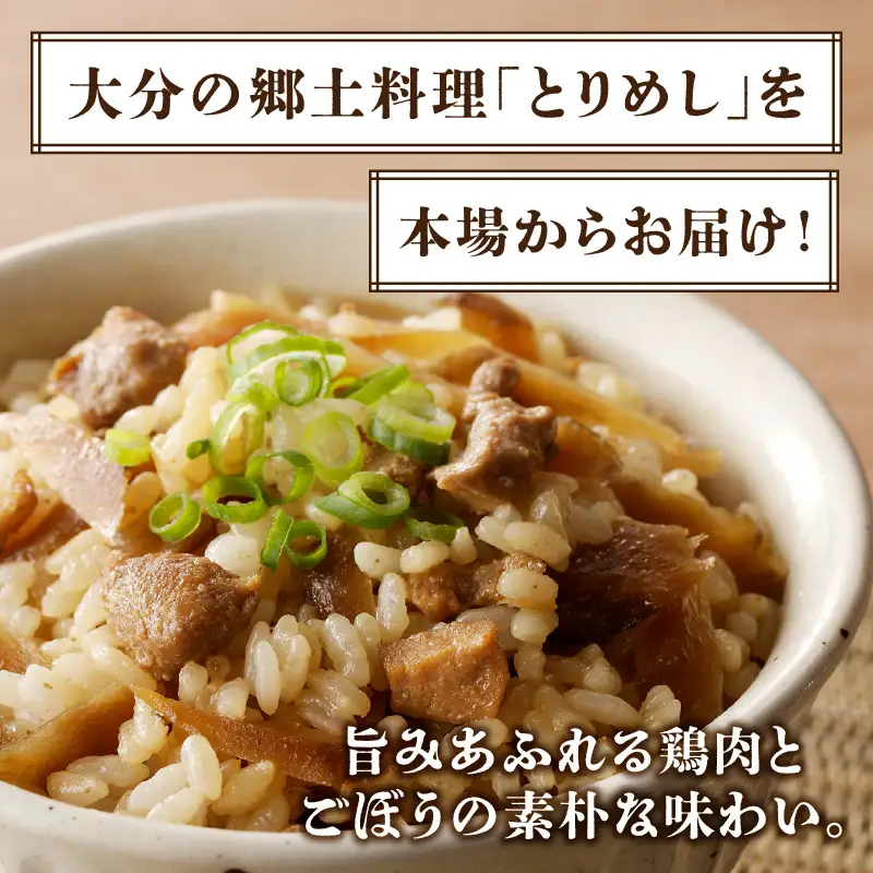 大分とりめし 10袋セット A03051