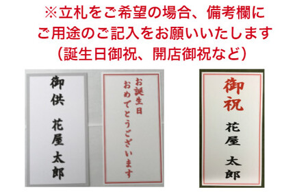 959 フォアスPREMIUM 胡蝶蘭 3本立ち48輪以上 白 (B959-2)