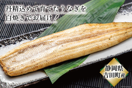うなぎ 国産 定期便 白焼 150g以上 2尾 3回 総計6尾 タレ 山椒 付き [大井川うなぎ 静岡県 吉田町 22424565]