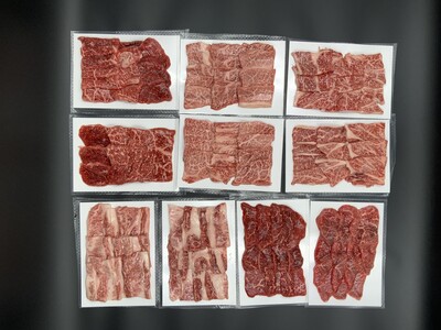 【高島屋選定品】【神戸牛 焼肉一頭食べ比べA】冷凍 神戸ビーフ 但馬牛 神戸牛 和牛 牛 牛肉 もも 肩 バラ 肩ロース ロース 食べ比べ 焼肉 BBQ バーベキュー アウトドア キャンプ 人気 国産 お取り寄せ グルメ 但馬 神戸 冷凍 兵庫県  高島屋 255000円 79-20