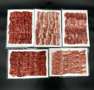 【高島屋選定品】【神戸牛 焼肉一頭食べ比べB】冷凍 神戸ビーフ 但馬牛 神戸牛 和牛 牛 牛肉 もも 肩 バラ 肩ロース ロース 食べ比べ 焼肉 BBQ バーベキュー アウトドア キャンプ 人気 国産 お取り寄せ グルメ 但馬 神戸 冷凍 兵庫県  高島屋 330000円 79-22