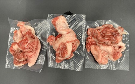 【高島屋選定品】【神戸牛 すじ肉】冷凍 神戸ビーフ 但馬牛 神戸牛 和牛 牛 牛肉 すじ肉 スジ すじ 人気 国産 お取り寄せ グルメ 但馬 神戸 冷凍 兵庫県  高島屋 11000円 79-24