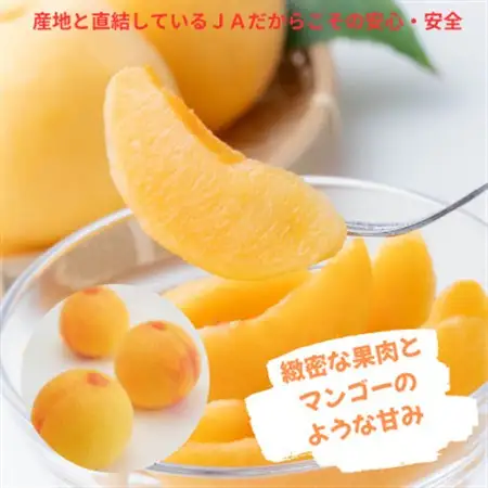【先行受付】ご家庭用　おかやまの黄金桃　大玉3玉　約900g【配送不可地域：離島・沖縄県】【1614293】
