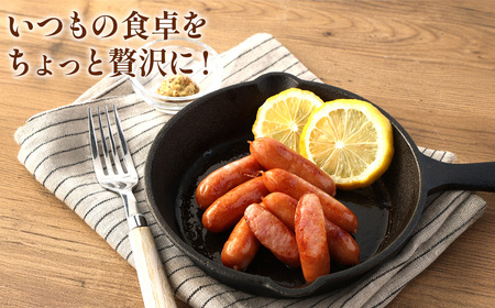 えびの高原 ロングサイズウインナー 176g×10パック 合計 1760g 豚肉 牛肉 人気 おかず お弁当 おつまみ 総菜 冷蔵 加工品 焼肉 ギフト 九州 宮崎県 えびの市 送料無料