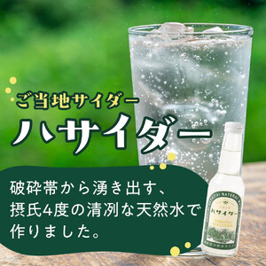 炭酸飲料 サイダー セット 24本 × 250ml ハサイダー
