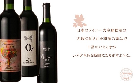 ワイン村 おまかせワイン（赤）3本セット（KWV）D4-620
