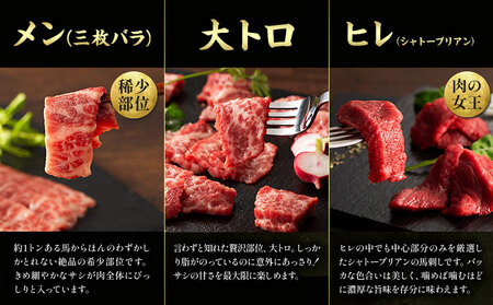 馬肉 熊本特産 フジチクオリジナル ふじ 馬刺し 堪能 セット 道の駅竜北  熊本県 氷川町 肉 馬肉 メン 大トロ 中トロ ヒレ シャトーブリアン ロース ランプ 上赤身 ネギトロ ふじ馬刺し セット 食べ比べ比べ