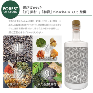 森の京都蒸溜所 クラフトジン2本セット(700ml×2本) ふるさと納税 福知山市 酒 ジン クラフトジン 飲み比べ FOREST MOON 和漢植物 ハーブ 香り 芳醇 味わい ジントニック ジンソーダ 癒し 贅沢 リラックス 健康 安らぎ 【fc-DR003】【Natural Spirits 株式会社】