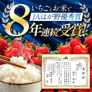 【栃木県共通返礼品】【定期3回】冷凍いちご 2kg | いちご とちあいか 冷凍 冷凍イチゴ スイーツ ジャム スムージー たっぷり 大粒  甘い 美味しい 果物 デザート 栃木県 那珂川町 送料無料
