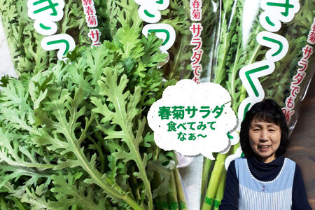 《令和8年産》サラダ春菊 100g × 5袋  計500g 春菊 野菜