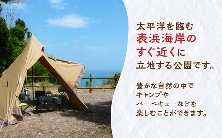 表浜ほうべの森キャンプ場利用券 5000円分 キャンプ場 ほうべの森 キャンプ BBQ 海岸 ピザ づくり 石窯 海 チケット 利用券 愛知県 田原市 渥美半島