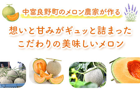 【2026年発送】　なかふらのメロン2玉　（計4kg）【CD-005】