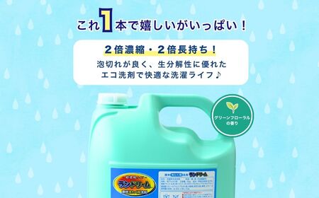 2倍濃縮 洗濯洗剤 ランドリーム 5kg (5kg×1個) 詰め替え | 洗濯洗剤 洗剤 洗濯洗剤 洗剤 洗濯洗剤 