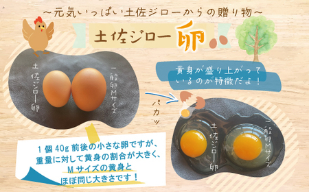 【定期便3回】濃厚でコクのある味わい！のびのび育った土佐ジローの自然卵20個（10個入り×2パック）【合計60個】卵 玉子 たまご 鶏卵 土佐ジロー 自然卵 新鮮 旨味 濃厚 コク おいしい 自慢 こだわり卵 高知 高知県 四万十市 26-1013