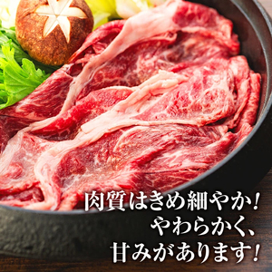 蓼科牛ウデスライス400g×1　　