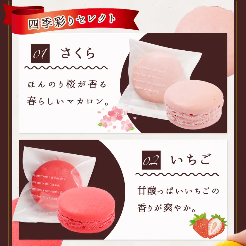 静マカロン 四季彩りセレクト 6種6個入≪みやこんじょ特急便≫〔LE-C209-Q〕_(都城市) スイーツ さくら いちご 日向夏 焼き芋 黒ごま ショコラ マカロン