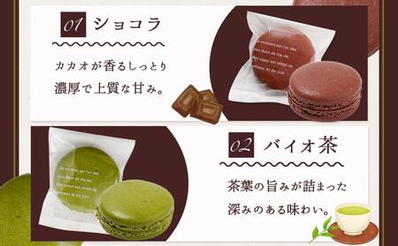 静マカロン クラウンセレクト 6種6個入≪みやこんじょ特急便≫_LE-C210-Q_(都城市) スイーツ ショコラ バイオ茶 日向夏 黒ごま さくら 和三盆 マカロン