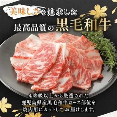 【鹿児島県産】黒毛和牛 焼肉用ロース 400g(枕崎市) A8-112_肉 焼肉 牛肉 やきにく ヤキニク バーベキュー  肉 黒毛和牛 牛肉 _【配送不可地域：離島】【1616202】