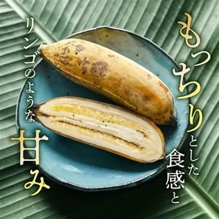 西原町の栽培期間中農薬不使用のナムワバナナ2kg【1616140】