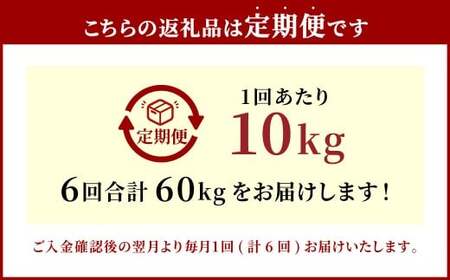 【6ヶ月定期便】大分県産 コシヒカリ 10kg×6回 計60kg
