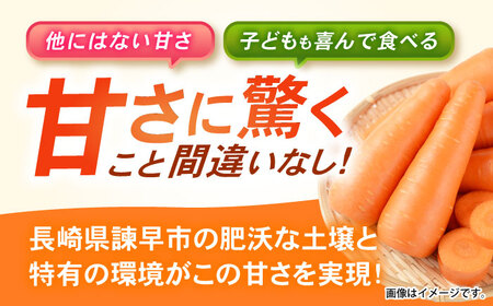 諫早産にんじん 10kg / にんじん ニンジン 人参 キャロット きゃろっと 野菜 やさい 10kg / 諫早市 / 松尾農園 [AHAY030]