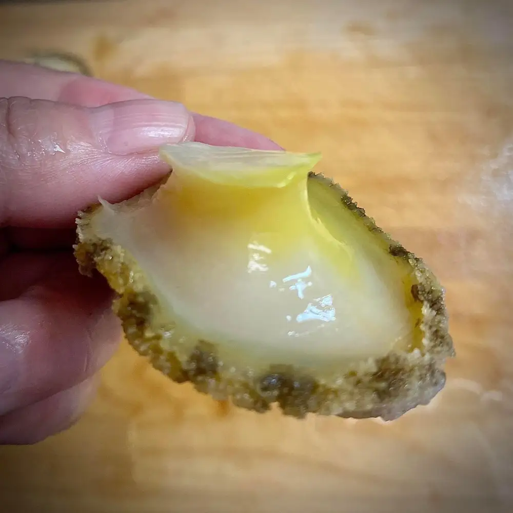 あわび 旨煮＆あわび 蒸し セット（旨煮：約100g×1粒 ・蒸し：約50g×3粒）【配送不可：北海道・沖縄・離島】◆