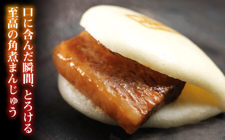【全12回定期便】大とろ 角煮まんじゅう 10個(1箱) 冷凍 角煮 角煮まん 個包装 豚まん[WBC025]