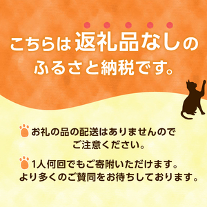 飼い主のいない猫への避妊・去勢手術費支援プロジェクト【返礼品なし】（寄附金額：5,000円）