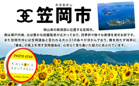 笠岡市応援寄附 1口 1000円【返礼品なし】応援 寄附