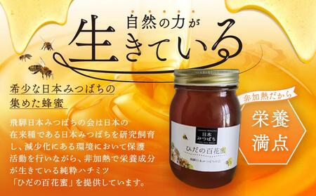 ひだの百花蜜 600g×1本 | 国産 非加熱 日本ミツバチ ハニー ハチミツ はちみつ 蜂蜜 飛騨高山 飛騨日本みつばちの会 PN004