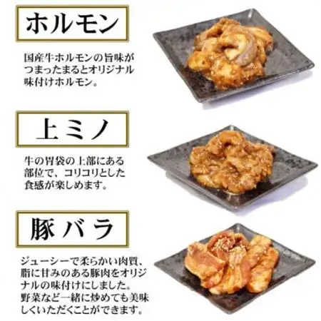 【飛騨牛】焼肉4種B-1セット　赤身肉と味付けホルモンなど　合計1kg【配送不可地域：離島】【1616670】