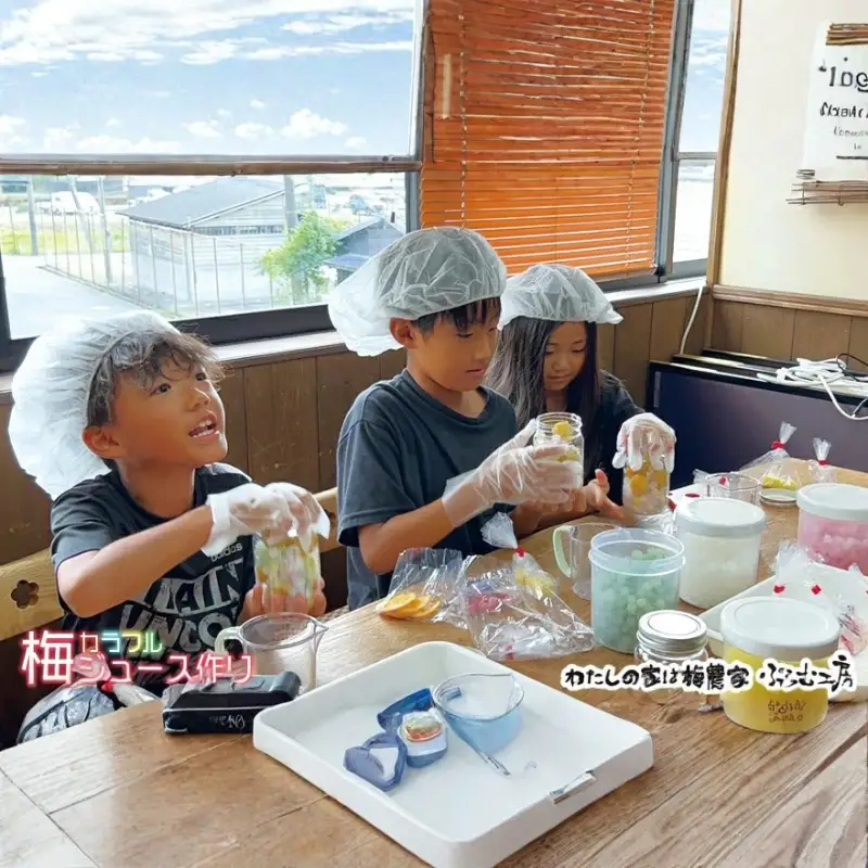 カフェドマンマ食事券1500円分＆カラフル梅ジュースづくり体験チケット  iwasho003A【iwasho003A】
