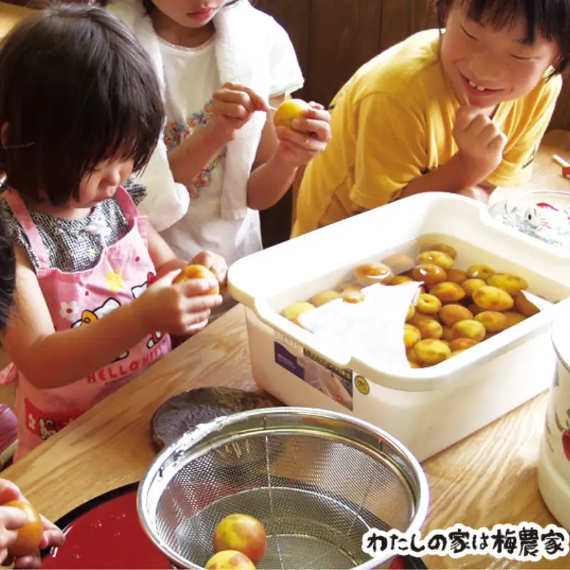 カフェドマンマ食事券1500円分＆梅ジャムづくり体験チケット  iwasho006A【iwasho006A】