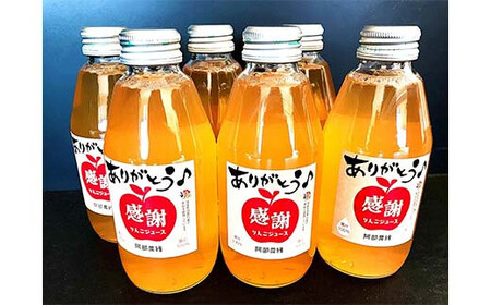阿部農縁　感謝りんごジュース6本ギフト箱入り　サンふじ無添加ストレート果汁100%　200ml×6本 F7X-0024