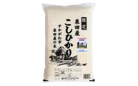 令和7年産米 須賀川市泉田産コシヒカリ精米 20kg ブランド米 お米 精米 白米 人気 F7X-0637