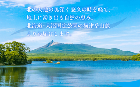 ミネラルウォーター夢水氣（290ml×40本）2セット 天然アルカリイオン水 NABI004