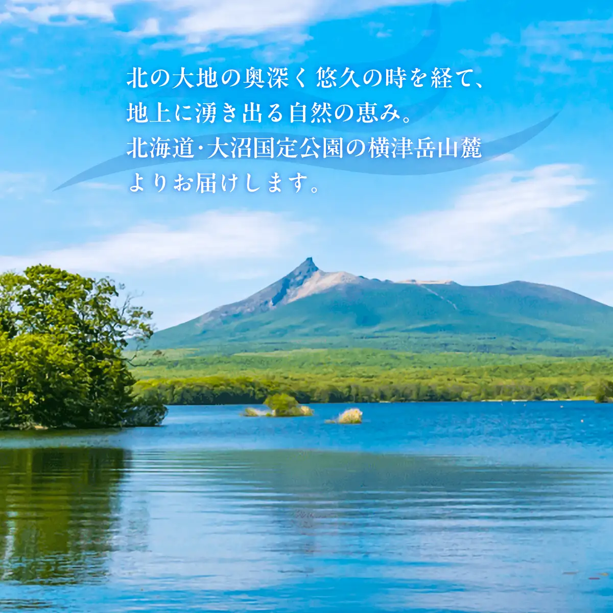 ミネラルウォーター夢水氣（290ml×40本）5セット 天然アルカリイオン水 NABI007
