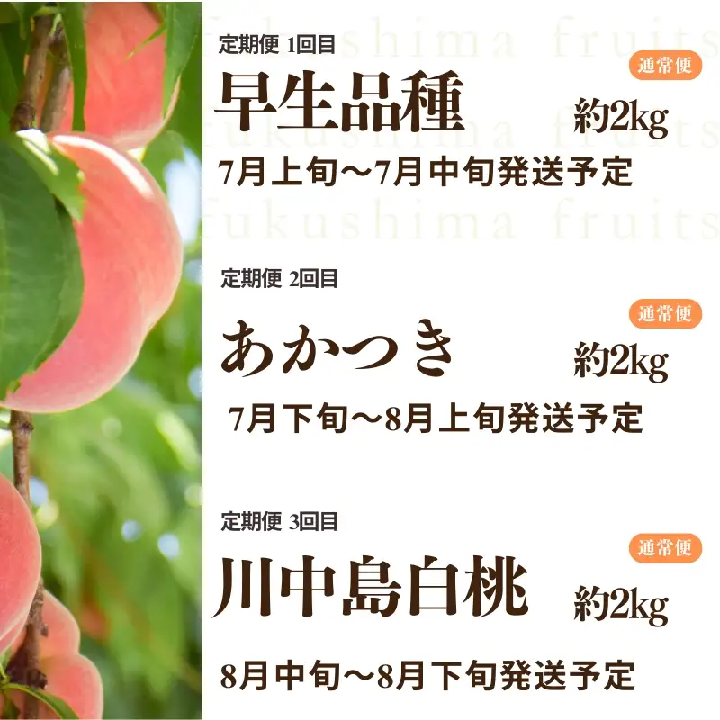 No.2967中野/佐藤果樹園 福島の桃３種定期便 各約2kg【2026年発送】