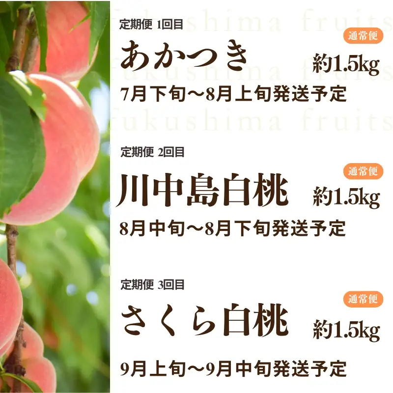 No.2968中野/佐藤果樹園 福島の桃３種定期便 各約1.5kg【2026年発送】
